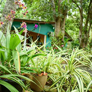 Palitha Séjour chez l'habitant Sigirîya